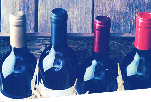 imagem do welcome gift